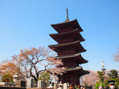 池上本門寺　五重塔　01