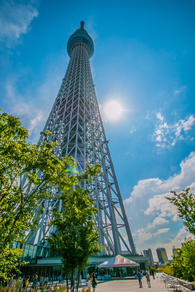 スカイツリー