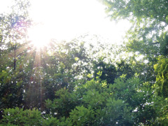 真夏の晴天