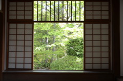 迷いの窓