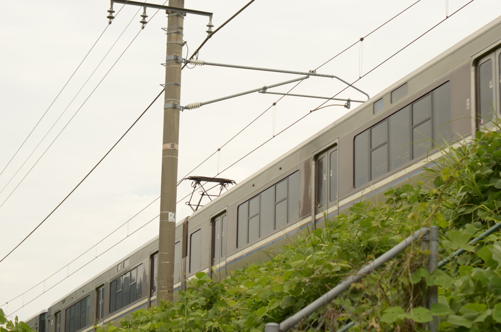 琵琶湖を一望できる電車