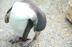 取り込み中？
