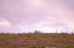 秋空