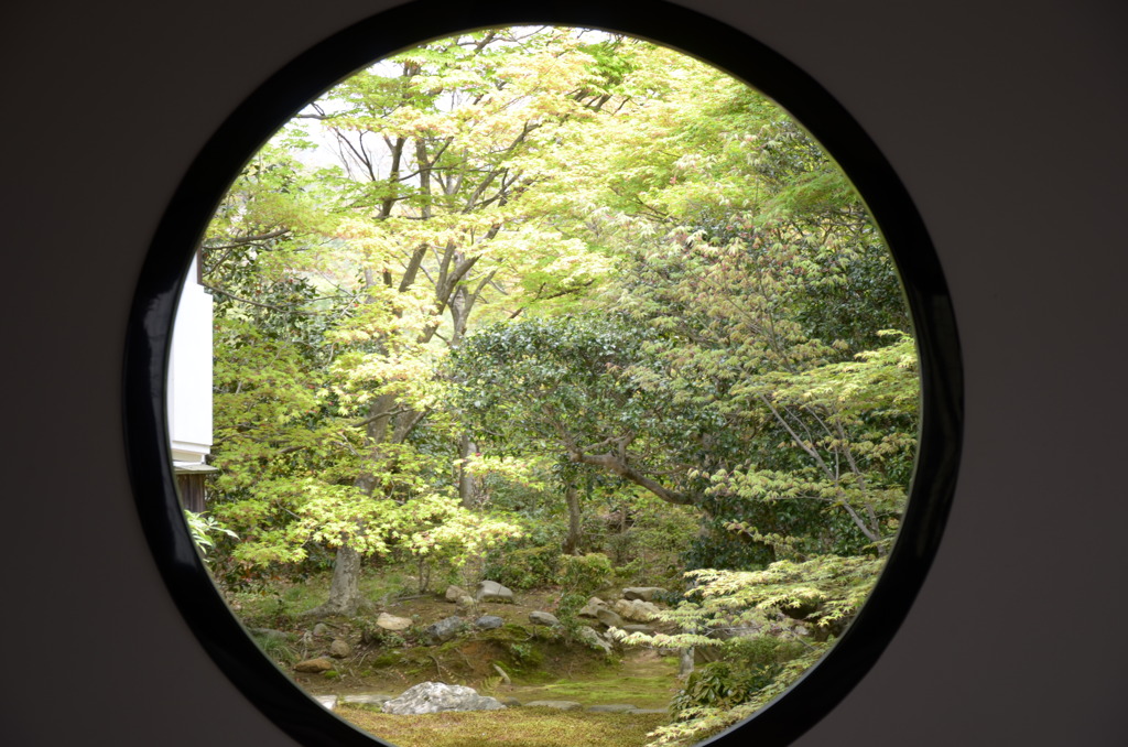悟りの窓