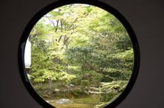 悟りの窓