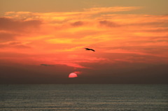 夕日