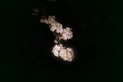 開花