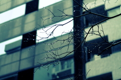 冬の雨