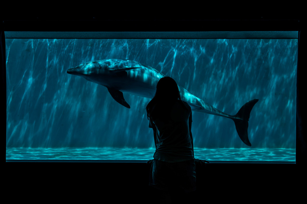 Aquarium