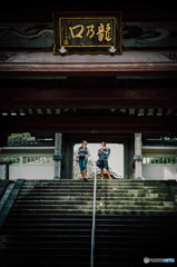 湘南10