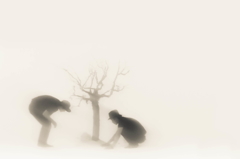 植樹
