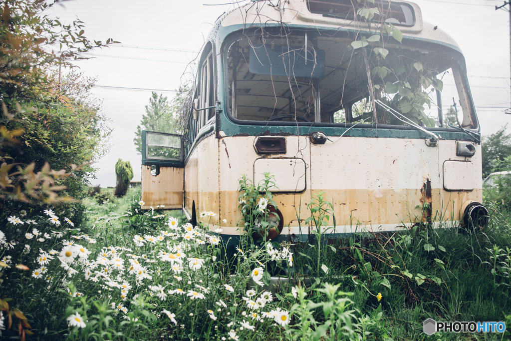 ＢＵＳ