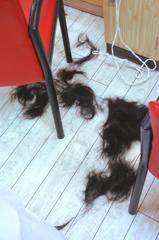 Beauty parlor