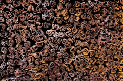 IRON