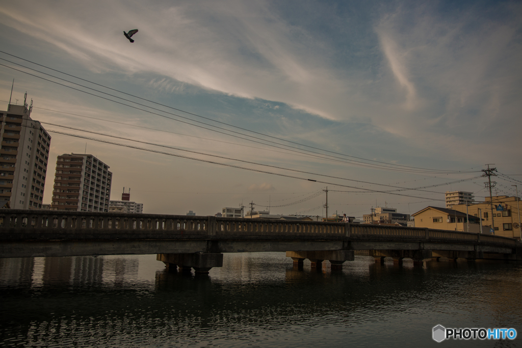 橋