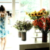 The flower shop