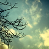 冬の空