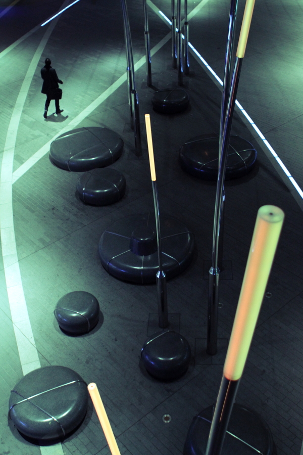 夜の光