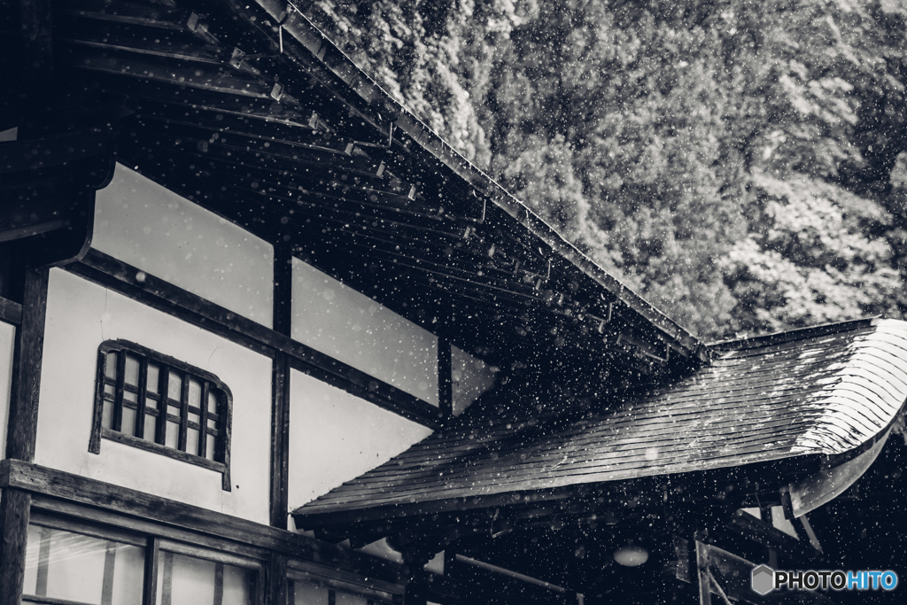 梅雨