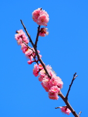 空に向かって