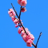空に向かって
