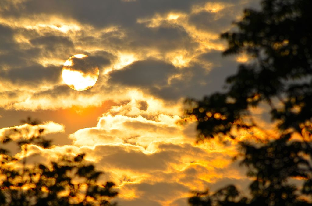 太陽SUN