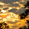 太陽SUN
