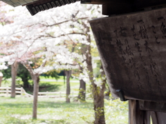 注意