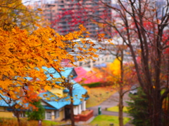 PB040015-002