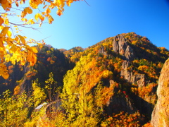 PA190229