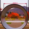 水道管から望む紅葉