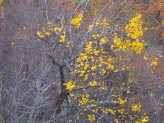 PB040008