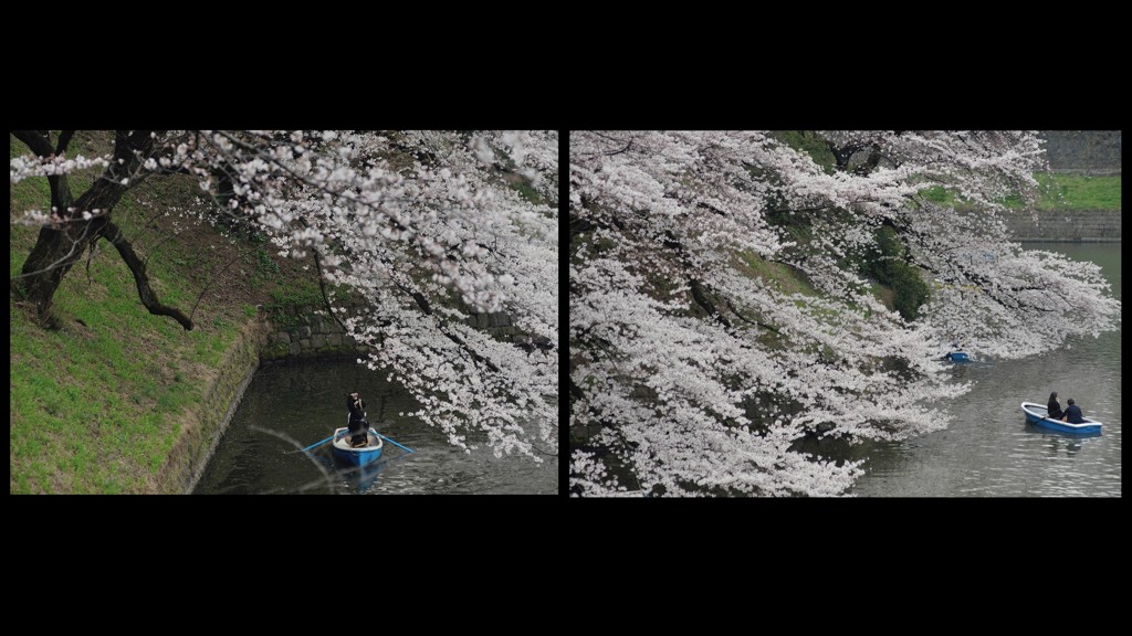 spring for tokyoites