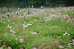 初秋に集う