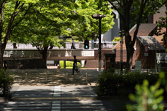 新緑の街