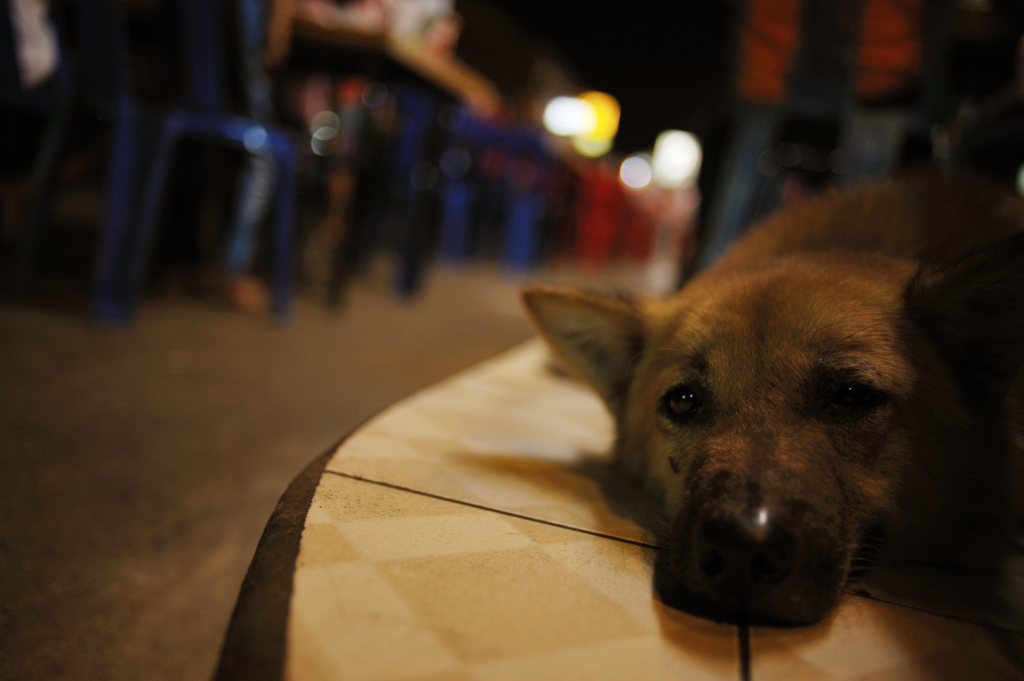 Thai Dog