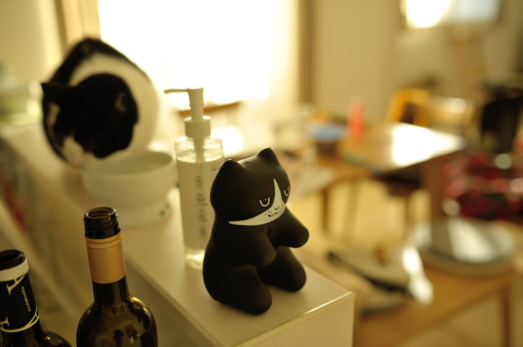 hachiware(s)