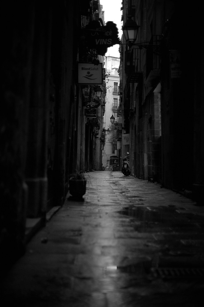  monochrome