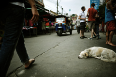 Khaosan Road