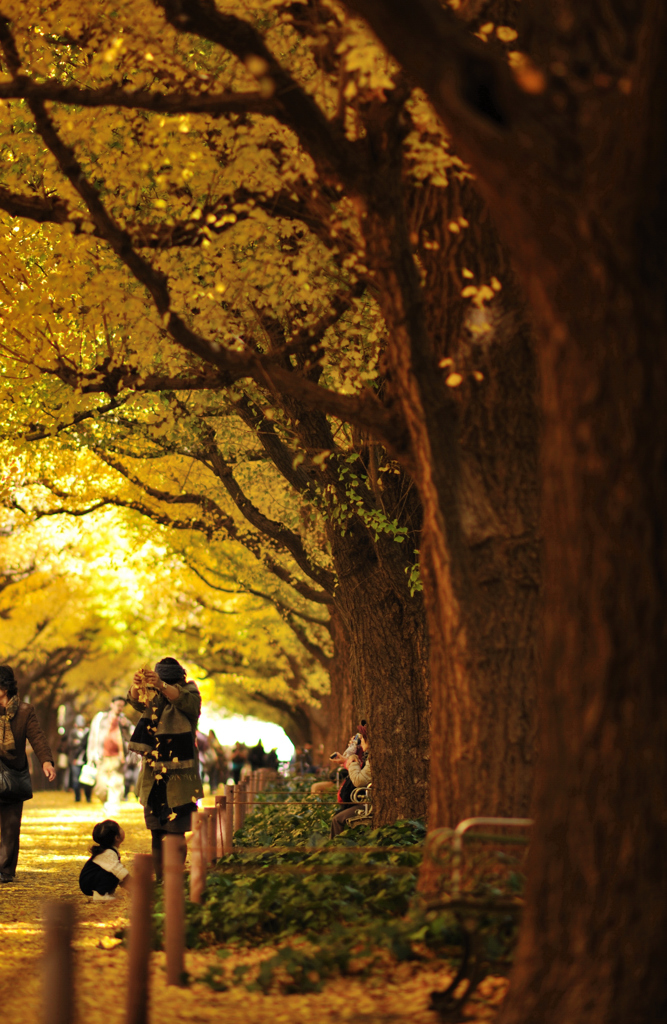 autumn for Tokyoites