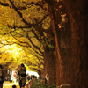 autumn for Tokyoites