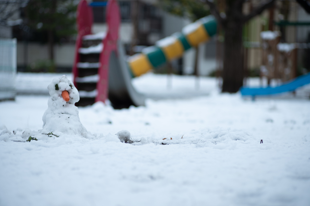 雪の朝