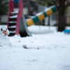 雪の朝