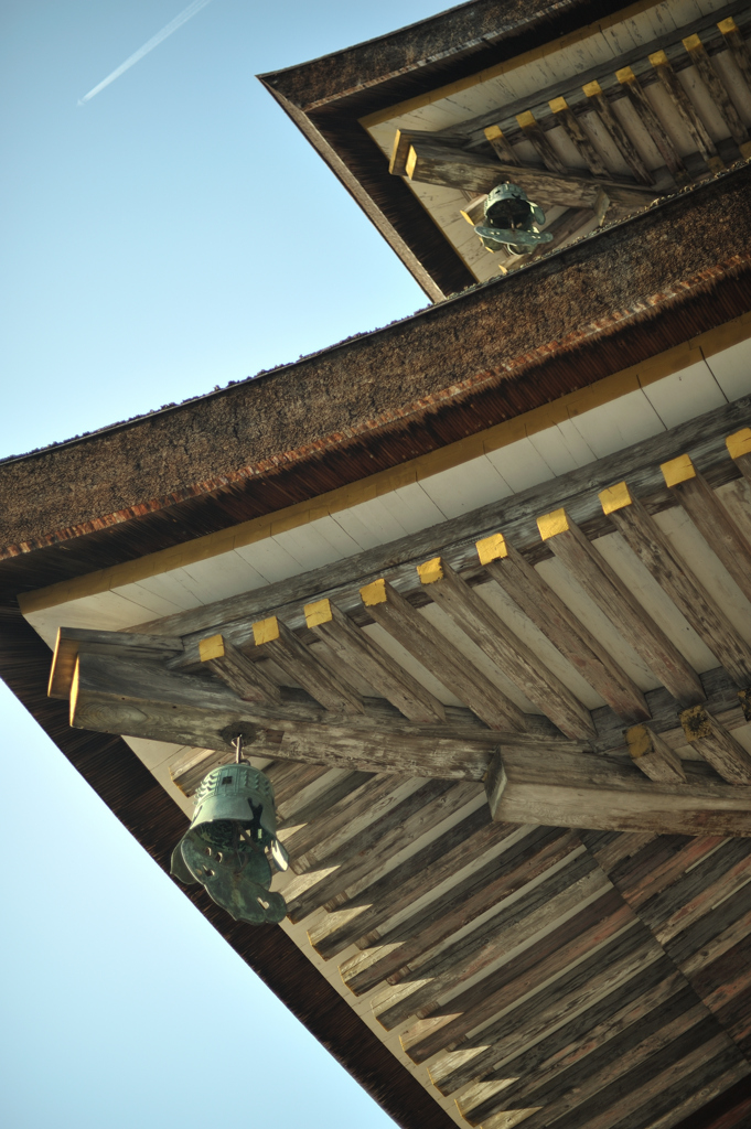 吉野山 金峯山寺蔵王堂