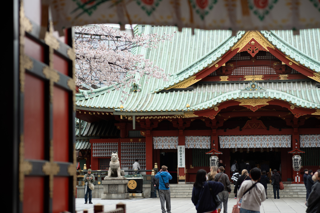 spring for tokyoites 2025