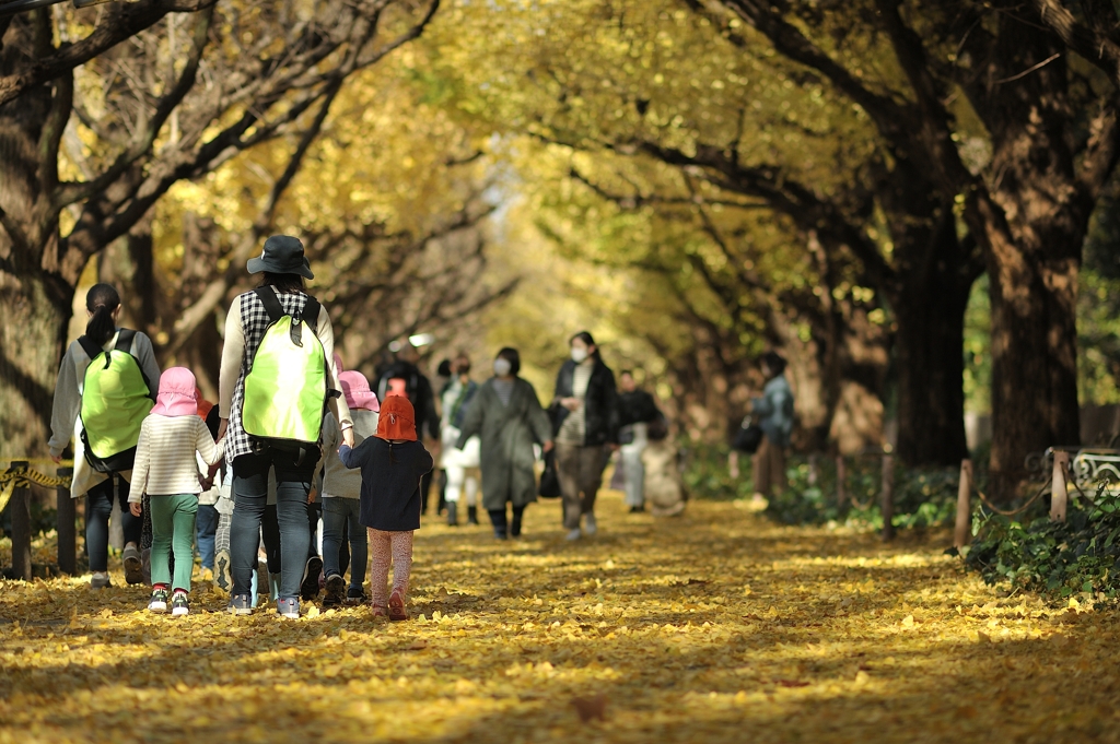 autumn for tokyoites 2021