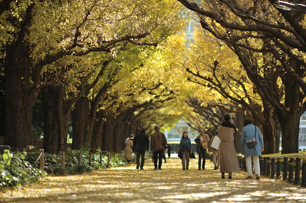 autumn for tokyoites 2021