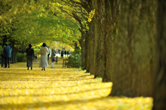 autumn for tokyoite 2015