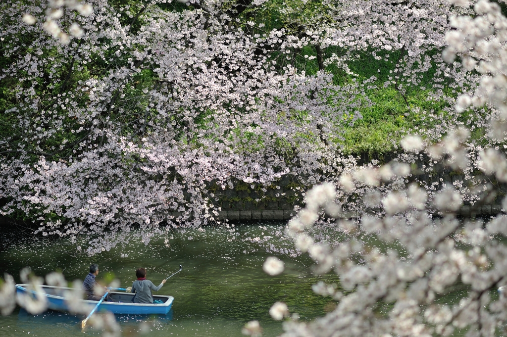 spring for tokyoites