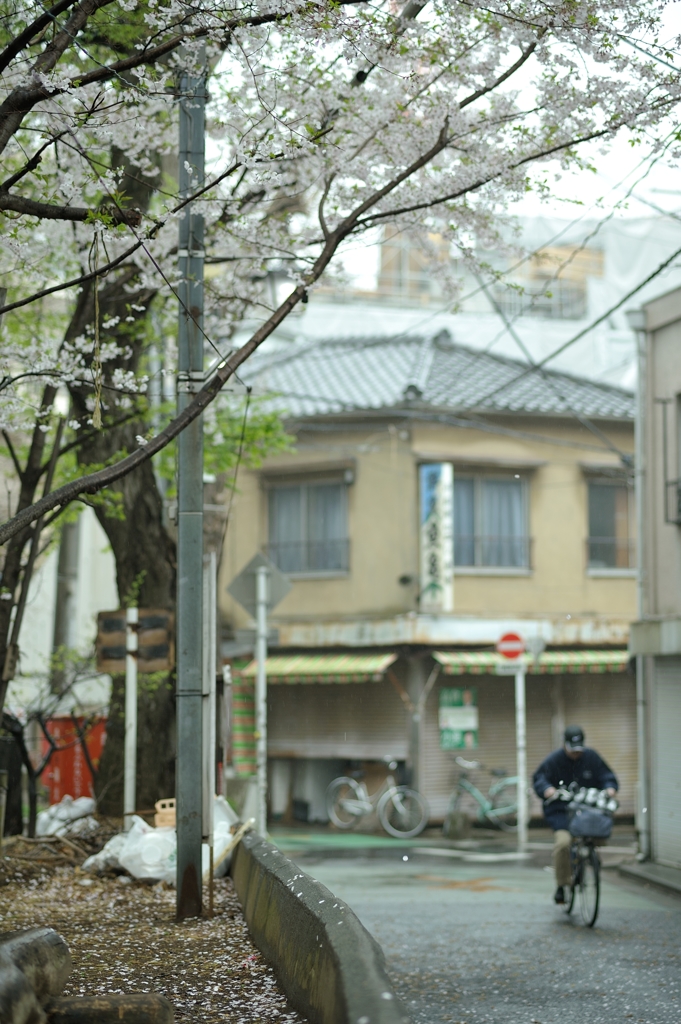 spring for tokyoites
